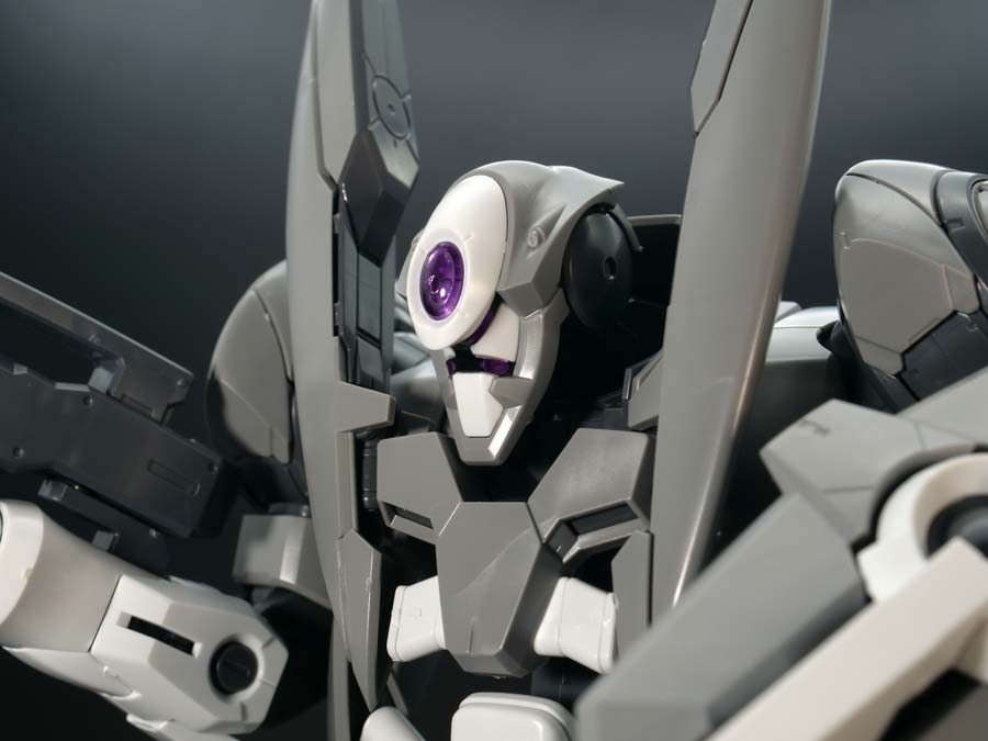 [����] [MG] 1/100 ¡ũ�� [4573102630810]