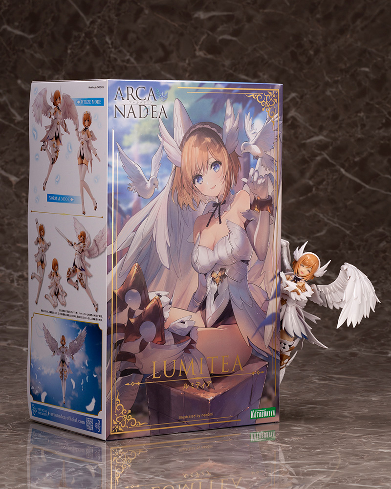 [�Ƹ�ī�����] ���Ƽ�� [3���԰��Ϸ�][4934054038190]