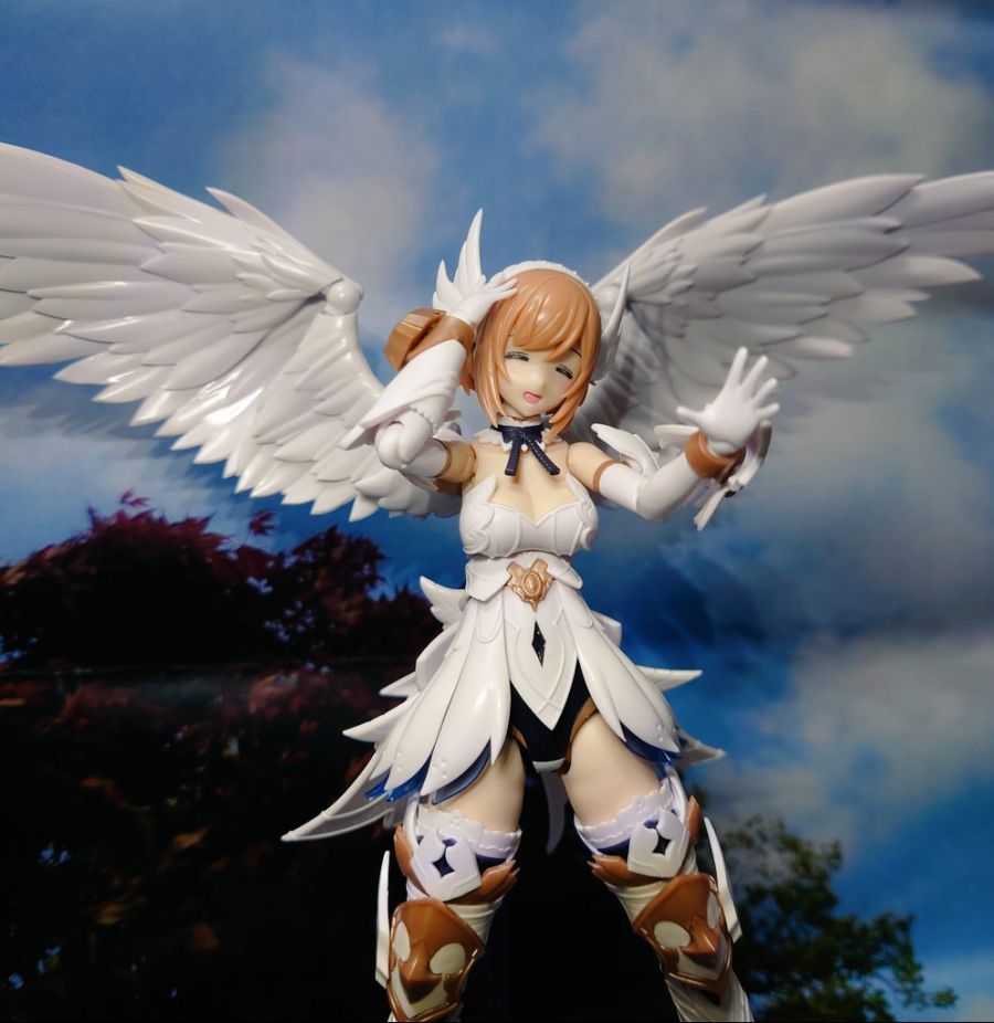 [Ư������] [�Ƹ�ī�����] ���Ƽ�� [11���԰��Ϸ�] [4934054038190]