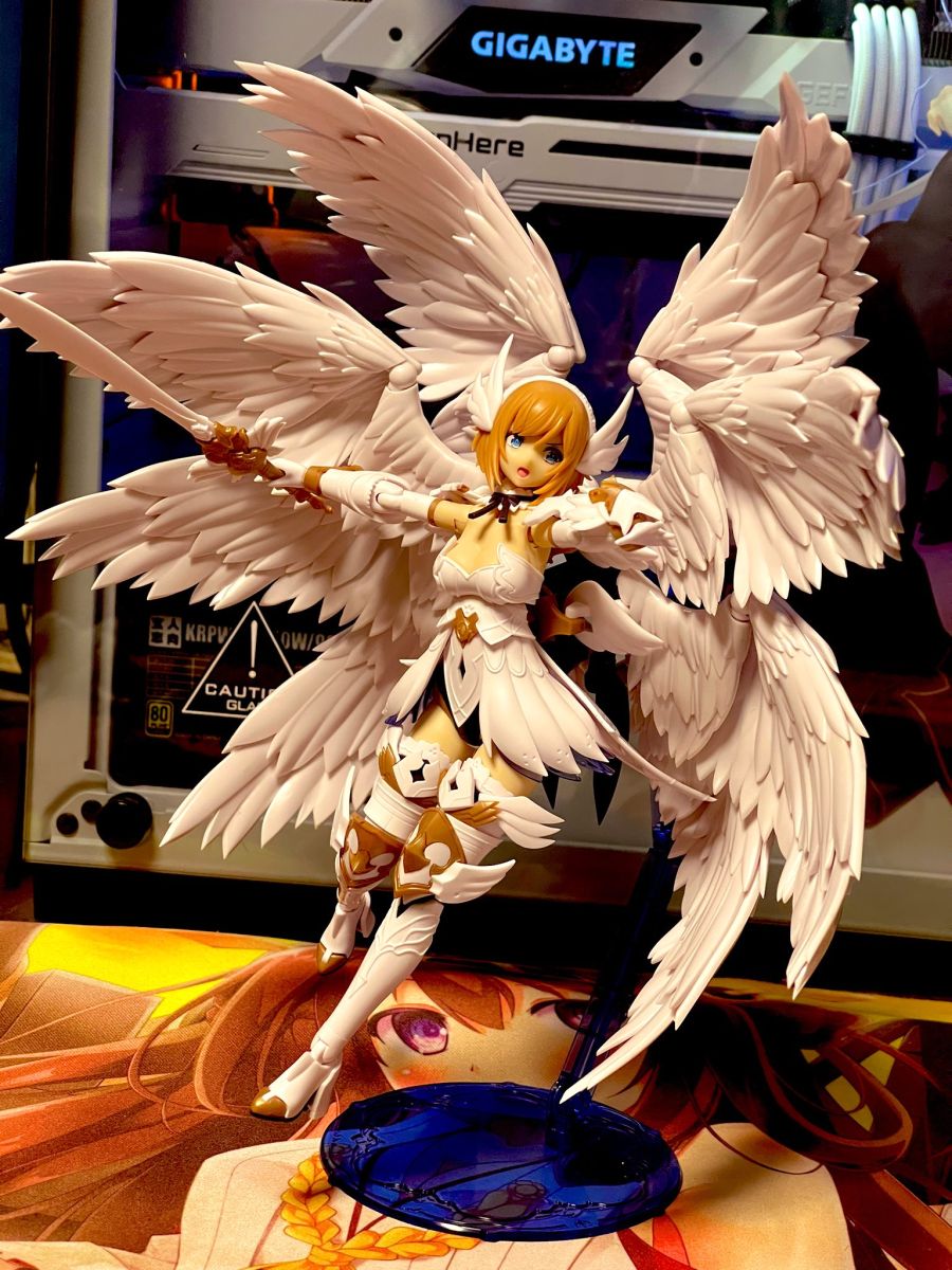 [Ư������] [�Ƹ�ī�����] ���Ƽ�� [11���԰��Ϸ�] [4934054038190]