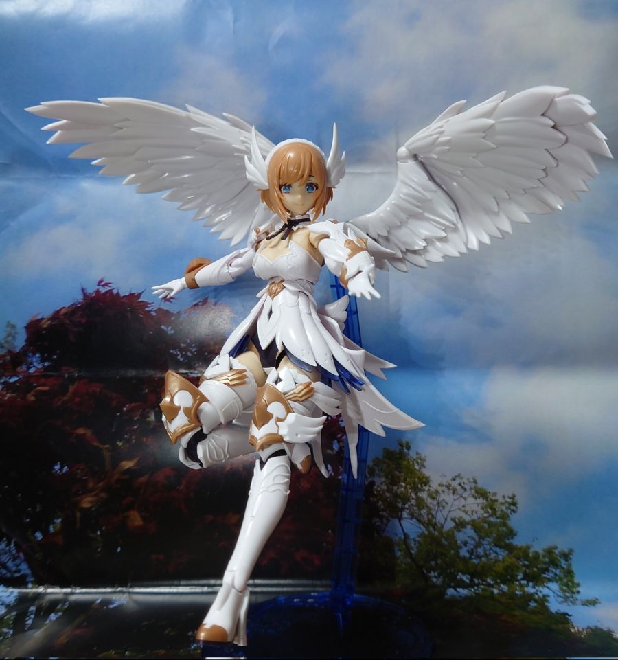 [Ư������] [�Ƹ�ī�����] ���Ƽ�� [11���԰��Ϸ�] [4934054038190]