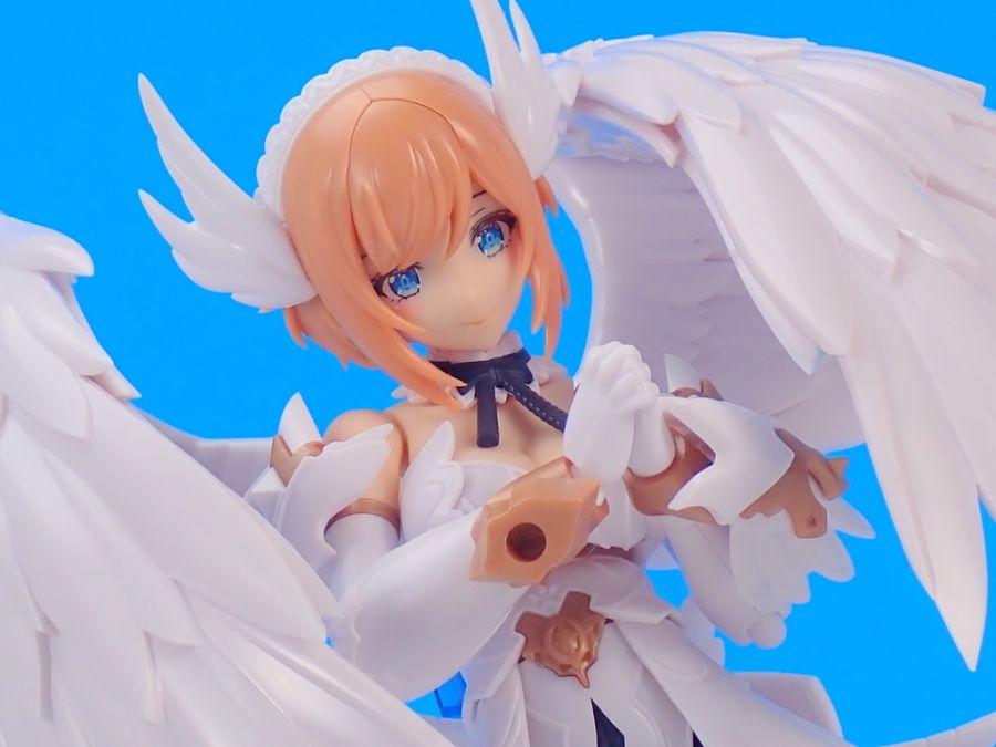 [Ư������] [�Ƹ�ī�����] ���Ƽ�� [11���԰��Ϸ�] [4934054038190]