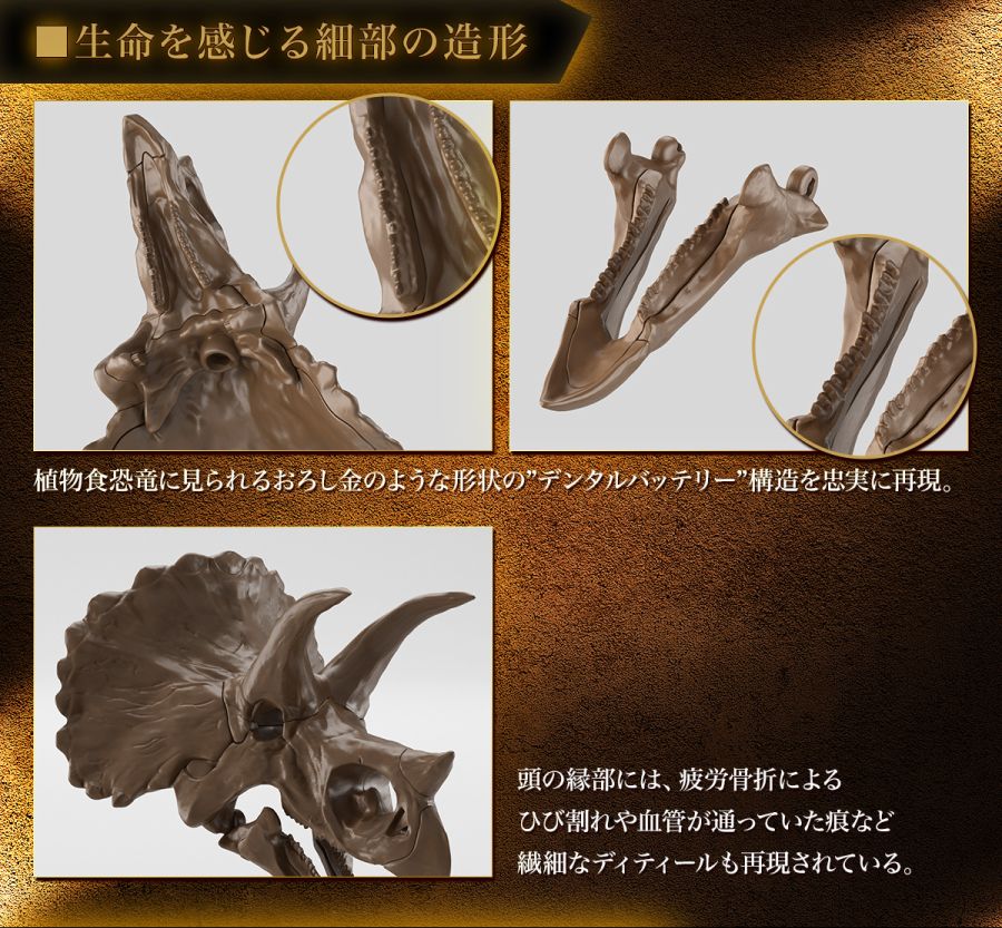 1/32 Imaginary Skeleton Ʈ���ɶ��齺 [3���԰��Ϸ�] [4573102618016]