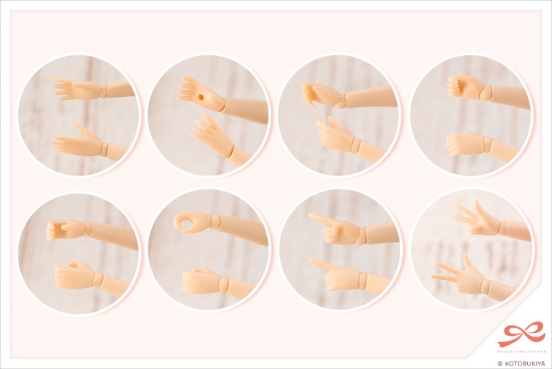 [âä�ҳ�����] ����Ű ����ī(������) [7���԰��Ϸ�] [4934054030934]