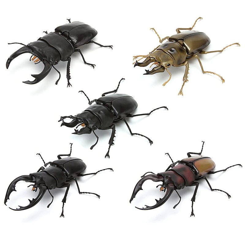 [�����߼�] ���� �뵵�� �罿���� 3ź(1�� �����߼�) [4���԰��Ϸ�] [4549660753858]