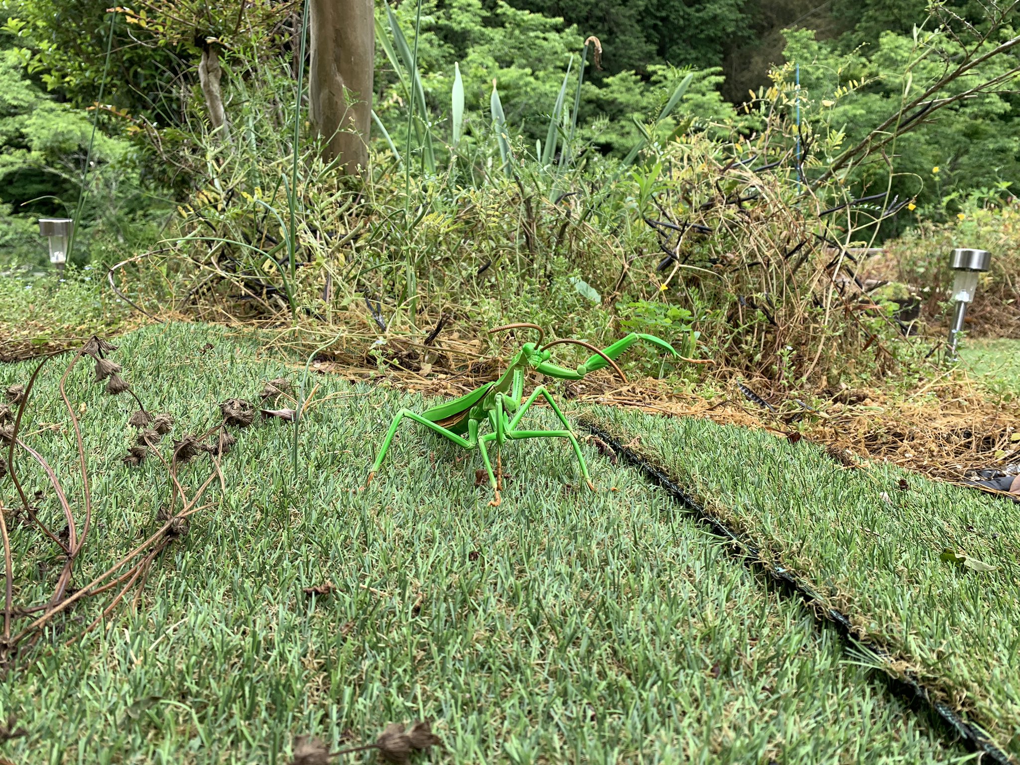 �������� �ø��� No.23 ������ �縶�� [7���԰��Ϸ�] [4968728170824]