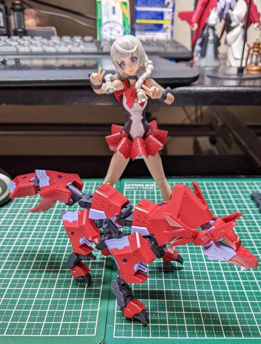 [�ް��̵���̽�] ī����&����Ƽ �������� [7���԰��Ϸ�] [4934054035878]