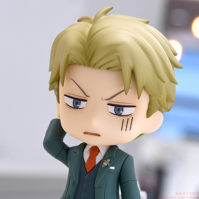 [�ٵ����̵�1901] ������x�йи�- ���̵� ����(Ȳȥ) [12���԰��Ϸ�] [4580590129504]