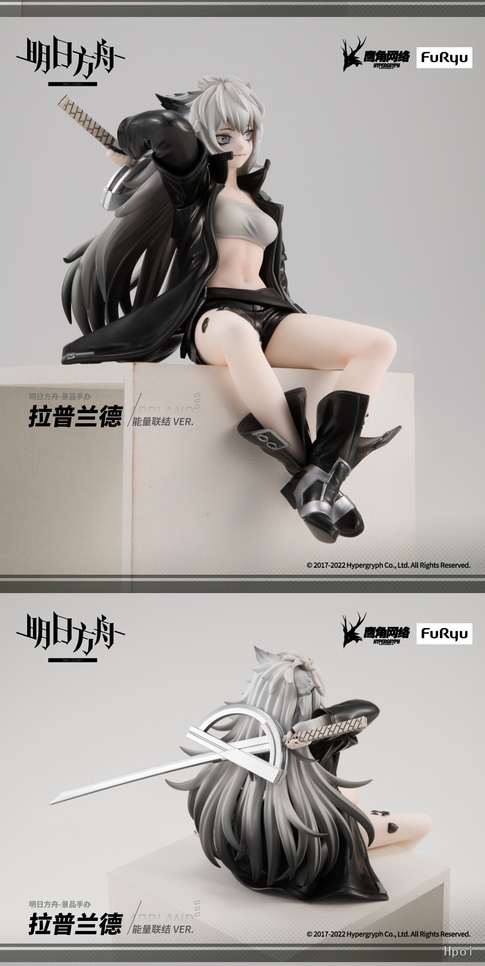 ���Ϲ��� ���� ������ �ǱԾ� ���ö��� [12���԰��Ϸ�] [4580736401693]