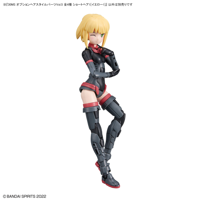 [30MS] �ɼ� ��� ��Ÿ�� ���� Vol.5 �����1(����1) [7���԰��Ϸ�] [4573102637161]