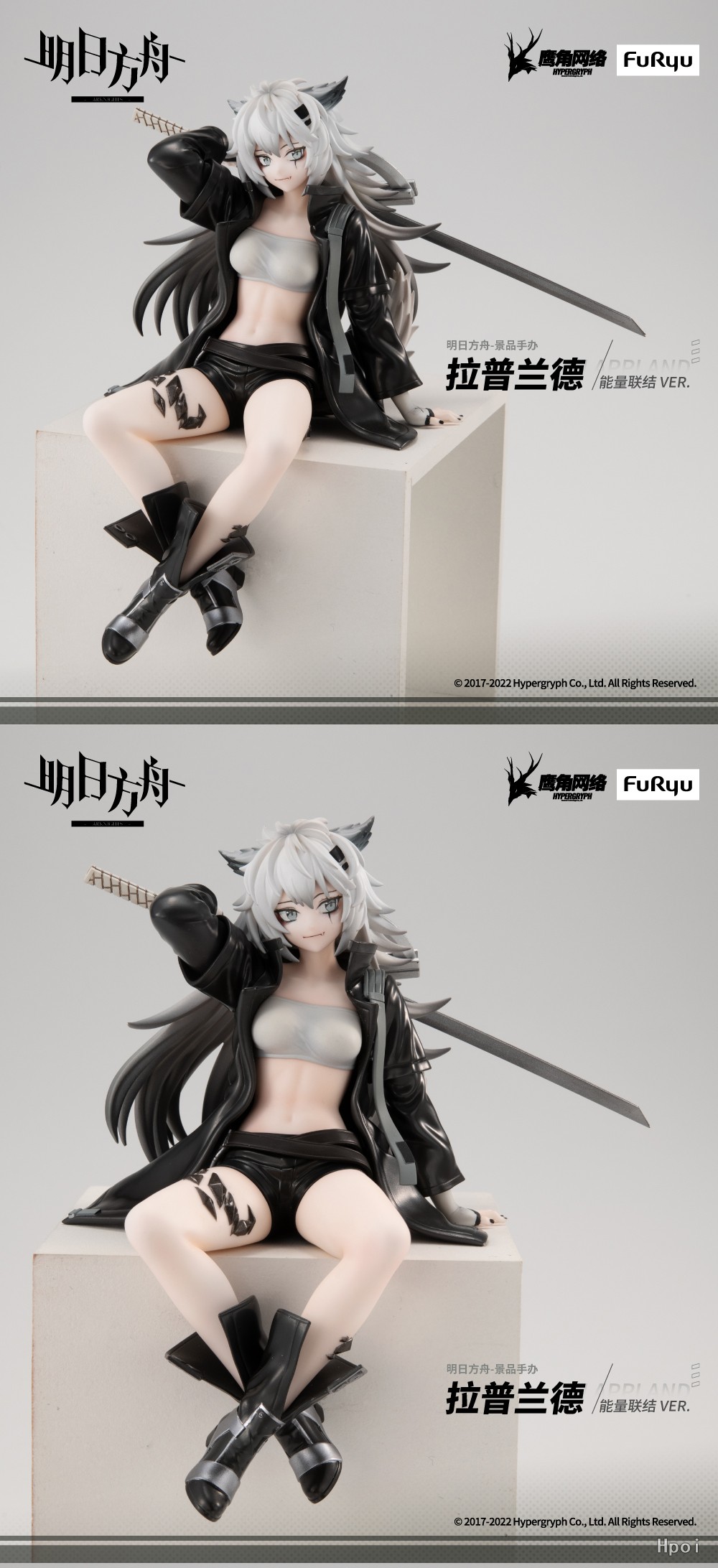 ���Ϲ��� ���� ������ �ǱԾ� ���ö��� [12���԰��Ϸ�] [4580736401693]