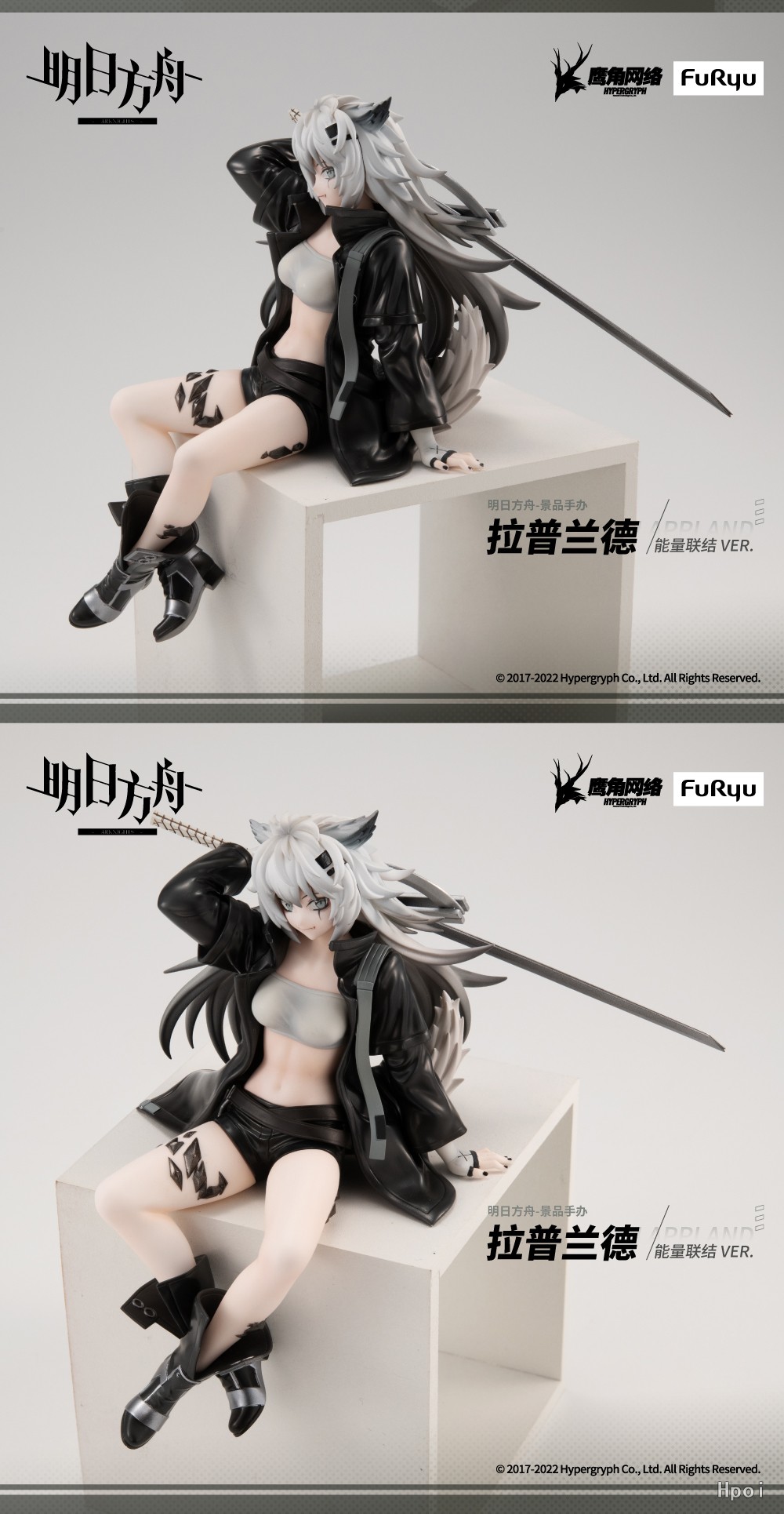 ���Ϲ��� ���� ������ �ǱԾ� ���ö��� [12���԰��Ϸ�] [4580736401693]