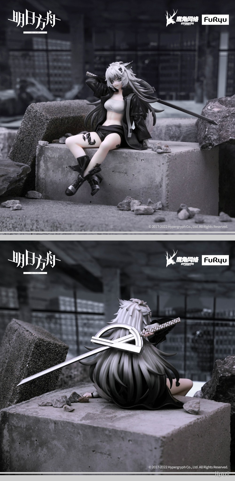 ���Ϲ��� ���� ������ �ǱԾ� ���ö��� [12���԰��Ϸ�] [4580736401693]