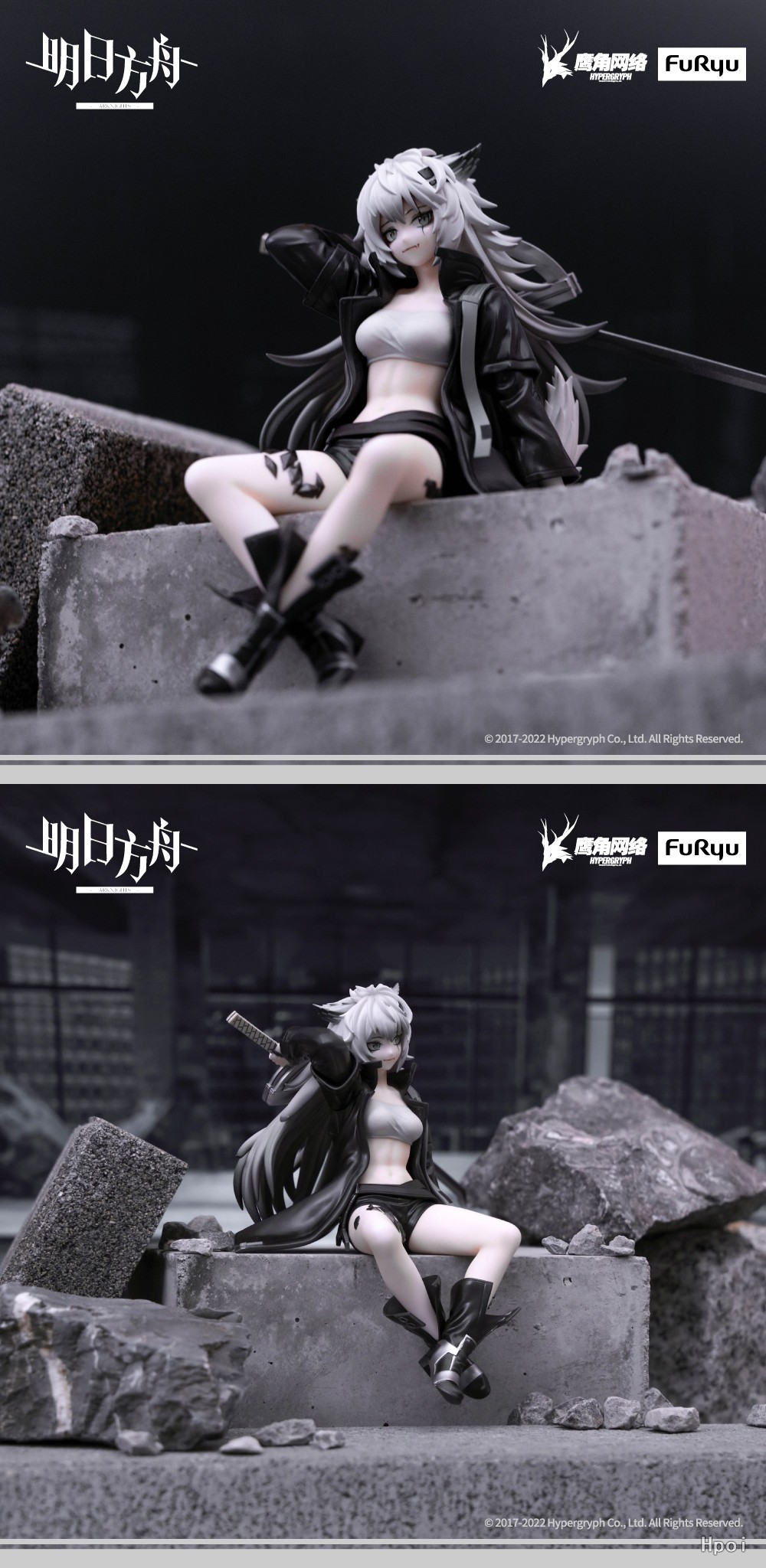 ���Ϲ��� ���� ������ �ǱԾ� ���ö��� [12���԰��Ϸ�] [4580736401693]