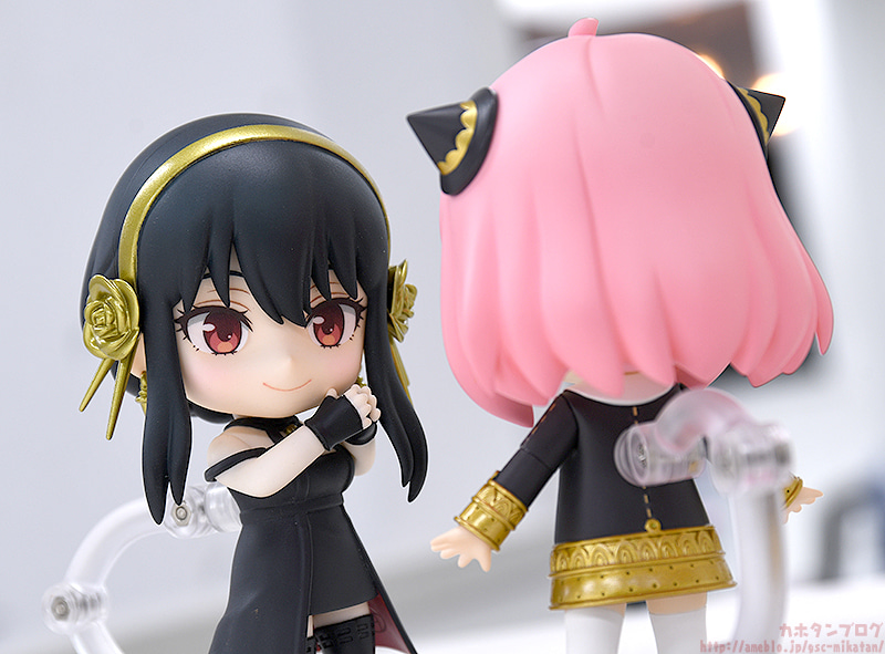 [�ٵ����̵�1903] ������x�йи� - �丣 ���� [1���԰��Ϸ�] [4580590170124]