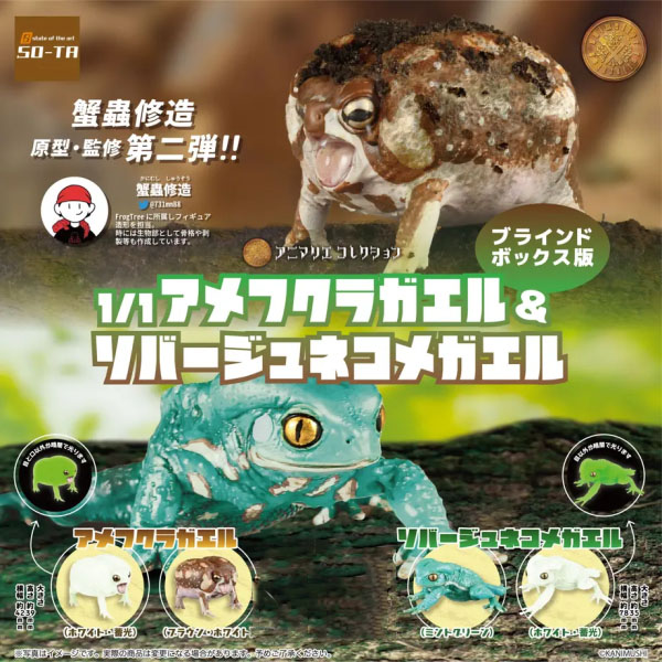 1/1 �Ƹ������� ����&�ҹ�����ڸ� ����(1�ڽ�4����) [8���԰��Ϸ�] [4582361785049]