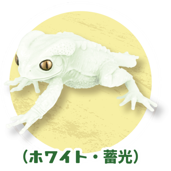 1/1 �Ƹ������� ����&�ҹ�����ڸ� ����(1�ڽ�4����) [8���԰��Ϸ�] [4582361785049]