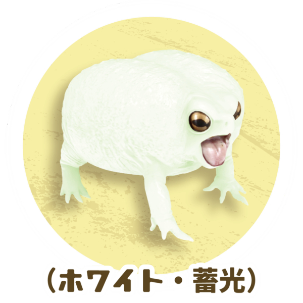 1/1 �Ƹ������� ����&�ҹ�����ڸ� ����(1�ڽ�4����) [8���԰��Ϸ�] [4582361785049]