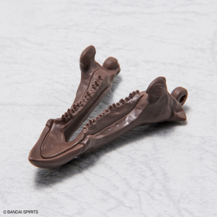 1/32 Imaginary Skeleton Ʈ���ɶ��齺 [3���԰��Ϸ�] [4573102618016]