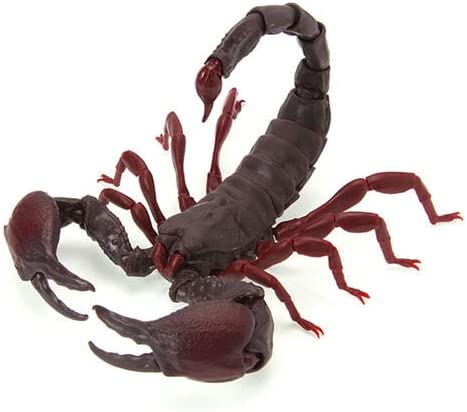 ���� �뵵�� ����(1�� �����߼�) [3���԰��Ϸ�] [4549660721055]