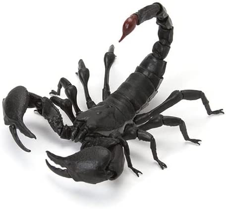 ���� �뵵�� ����(1�� �����߼�) [3���԰��Ϸ�] [4549660721055]