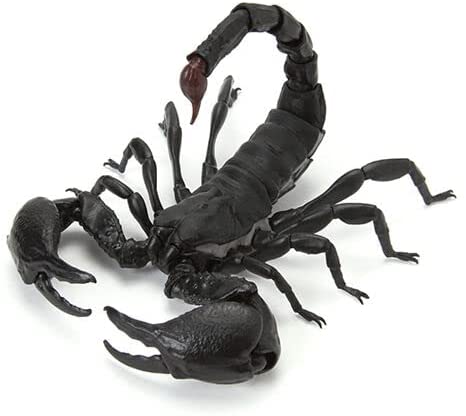 ���� �뵵�� ����(1�� �����߼�) [3���԰��Ϸ�] [4549660721055]