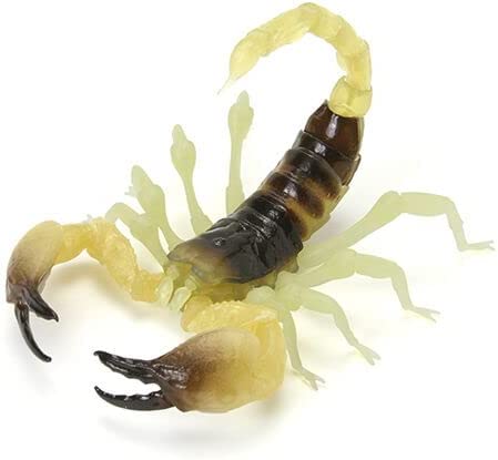 ���� �뵵�� ����(1�� �����߼�) [3���԰��Ϸ�] [4549660721055]