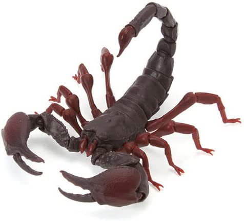 ���� �뵵�� ����(1�� �����߼�) [3���԰��Ϸ�] [4549660721055]