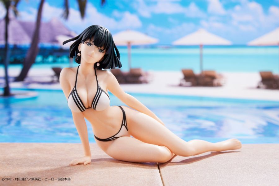 [��ǰ�ǱԾ�] ���ݸ� Celestial Vivi ������ �ĺ�Ű [2���԰��Ϸ�] [4983164193558]