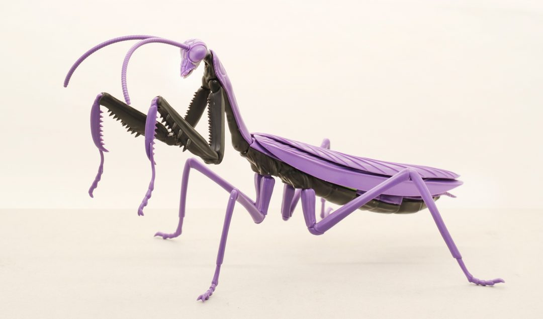 �������� �ø��� ������ - �� �縶�� ���ݰԸ��� ��ȣ�� ��� [12���԰��Ϸ�] [4968728171180]