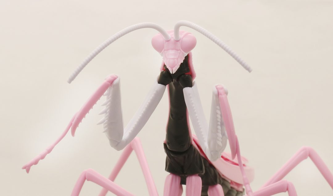 �������� �ø��� ������ - �� �縶�� ���ݰԸ��� 8ȣ�� ��� [12���԰��Ϸ�] [4968728171197]