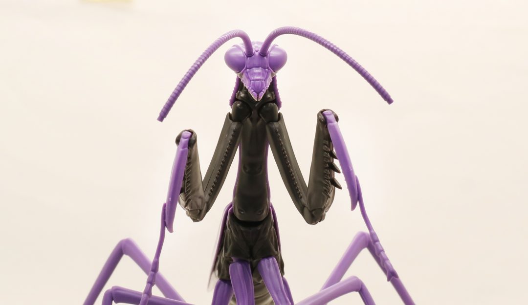 �������� �ø��� ������ - �� �縶�� ���ݰԸ��� ��ȣ�� ��� [12���԰��Ϸ�] [4968728171180]