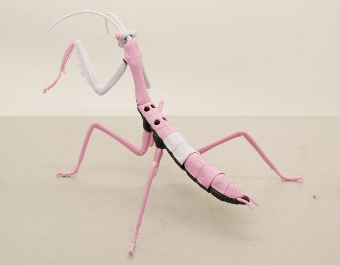 �������� �ø��� ������ - �� �縶�� ���ݰԸ��� 8ȣ�� ��� [12���԰��Ϸ�] [4968728171197]