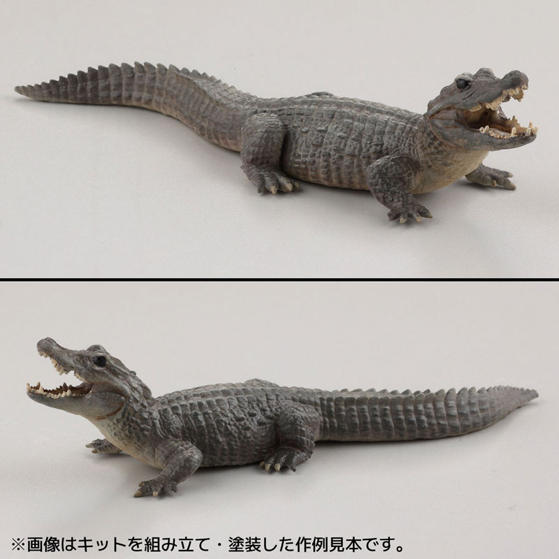 [ARTPLA] 1/35 �������� ���ڻԼ� ��Ʈ [4���԰��Ϸ�] [4537807190123]