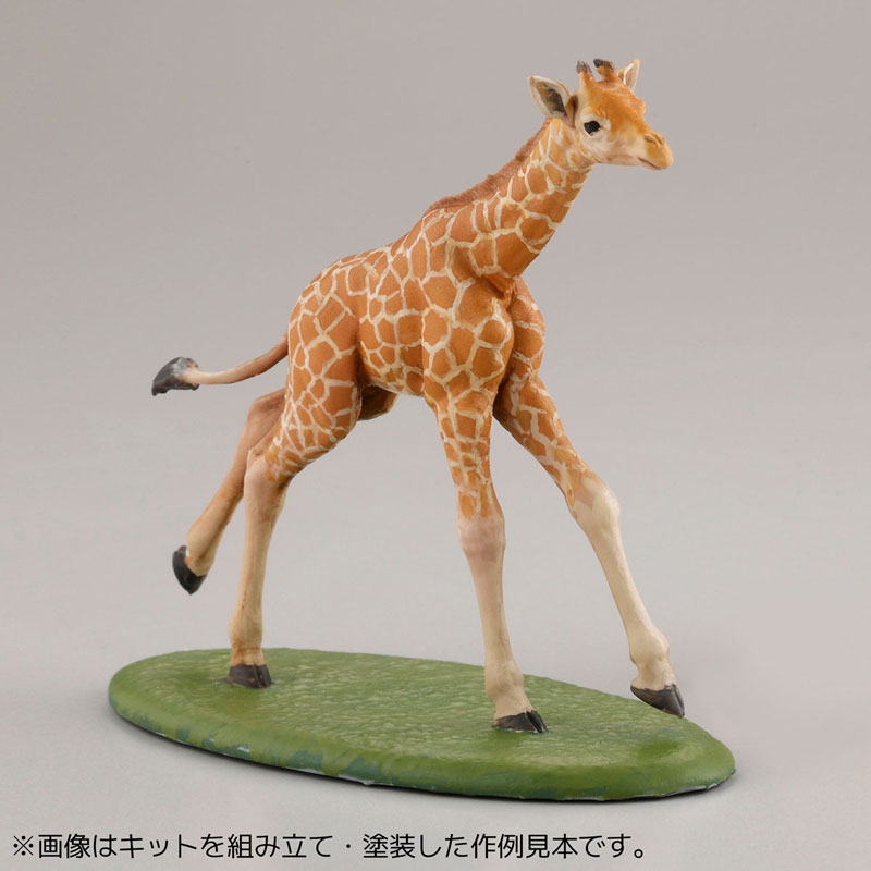 [ARTPLA] 1/35 �������� ������ ��Ʈ(1�ڽ�6����) [4���԰��Ϸ�] [4537807190093]