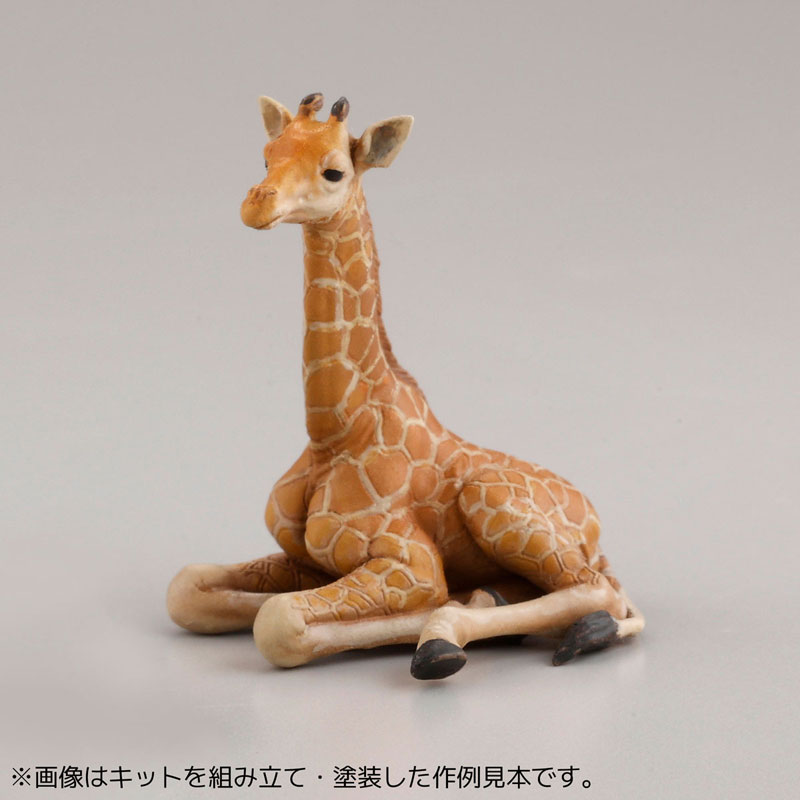 [ARTPLA] 1/35 �������� ������ ��Ʈ(1�ڽ�6����) [4���԰��Ϸ�] [4537807190093]