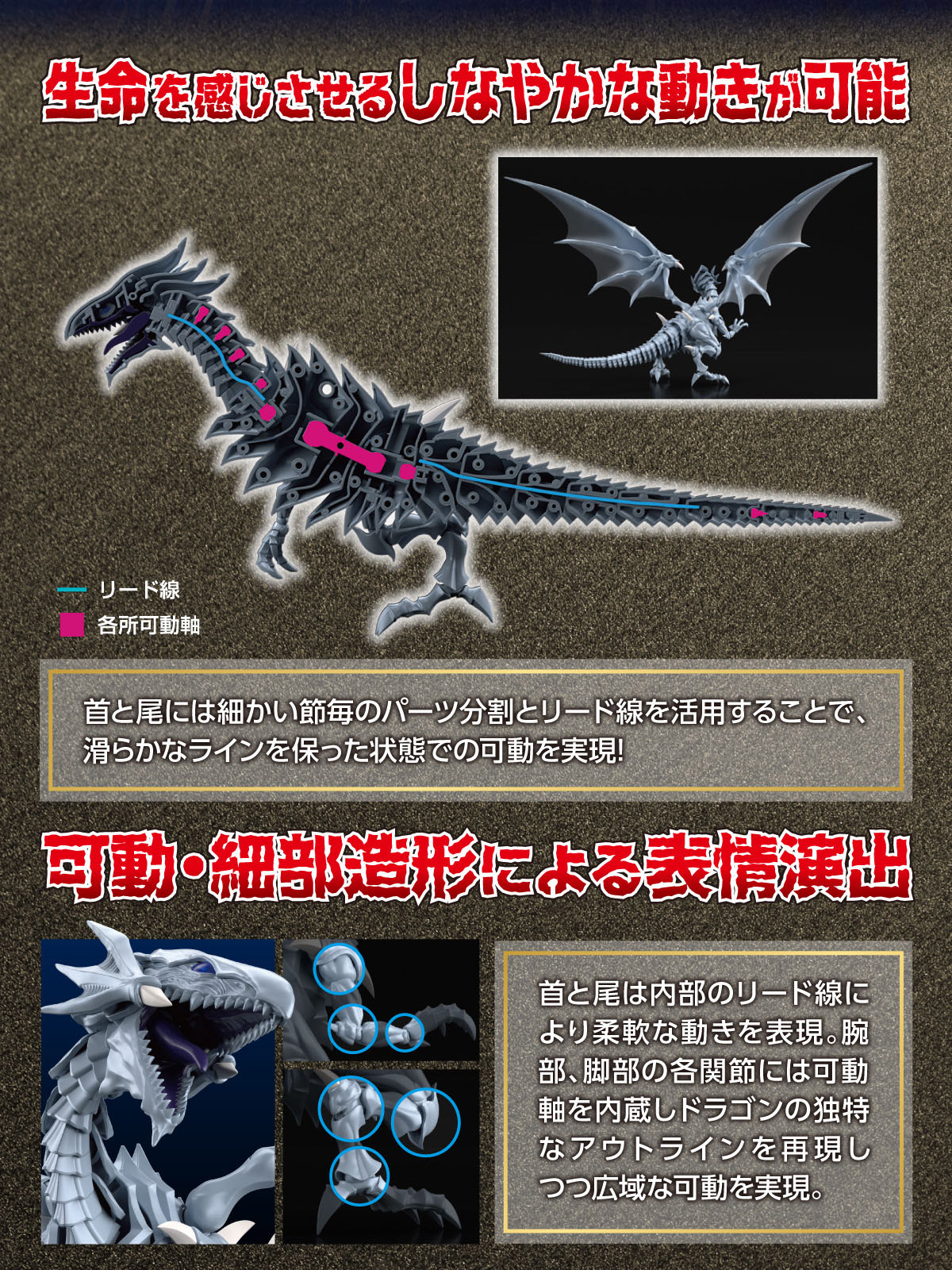 [�ǱԾ������ ���Ĵٵ� Amplified] ����� ��� ������ - Ǫ�� ���� ��� [5���԰��Ϸ�] [4573102650221]