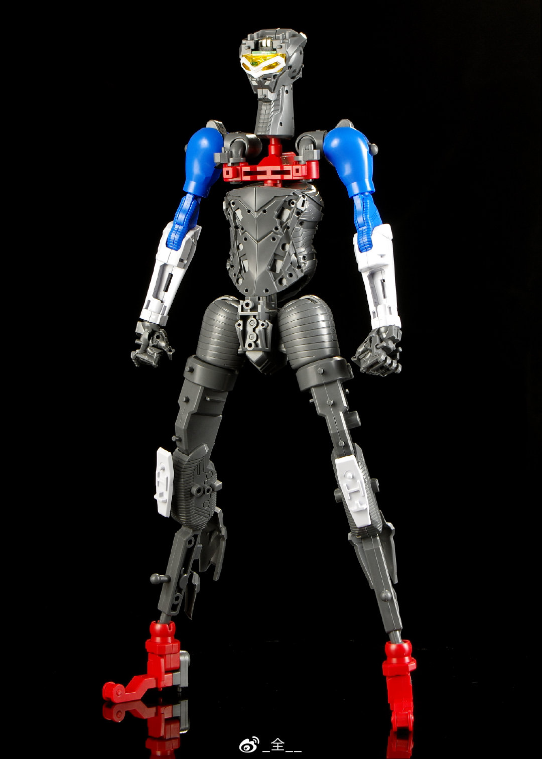 [�������] ��Ʈ��� ���� ��Ƽ����Ʈ ������ [11���԰��Ϸ�][6971835800582]