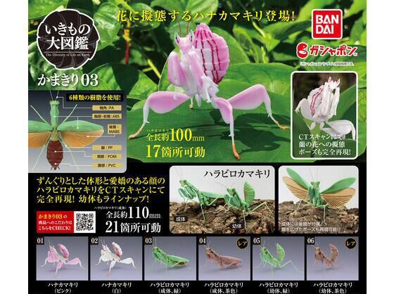 ���� �뵵�� �縶��03(1�������߼�) [10���԰��Ϸ�] [4549660771616]