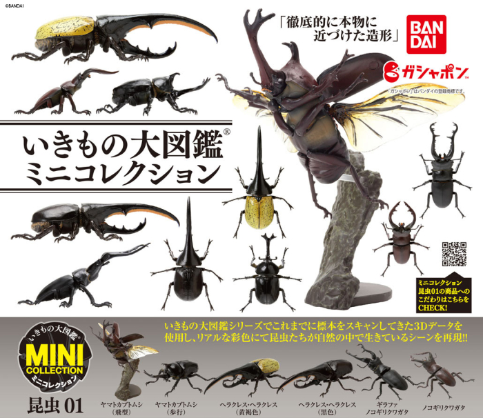 [�����߼�] ���� �뵵�� �̴� �ݷ��� ����01(1�������߼�) [10���԰��Ϸ�] [4549660767138]