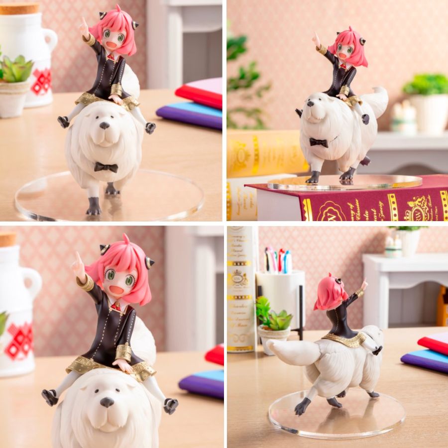 [��ǰ�ǱԾ�] ������x�йи� PM �Ƴ� ����&���� ���� [12���԰��Ϸ�] [4570001962592]