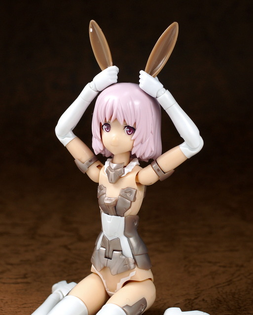 �ö�ƽ �ɼ� ���� �ִϸ� �Ǽ�����1(����) [11���԰��Ϸ�] [4582362385118]