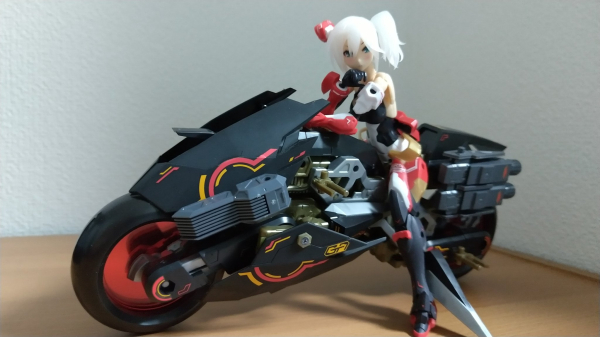 M.S.G [��ī���ö���14] ���͵� ��������A [12���԰��Ϸ�] [4934054066100]