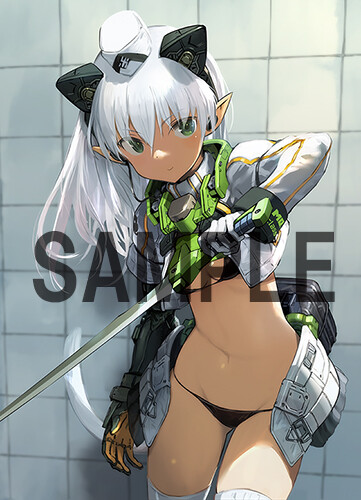 �ø��� �Ĺ�ī�� ��Ʈ����2 - �Ƹ��þ� ��� �÷� with FGM148Ÿ�� ������ �̻��� [6���԰��Ϸ�] [4934054046508]