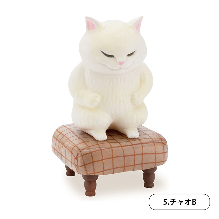 ī���� ������ �ǱԾ� �ݷ���(1�ڽ�12����) [2���԰��Ϸ�] [4573567411085]