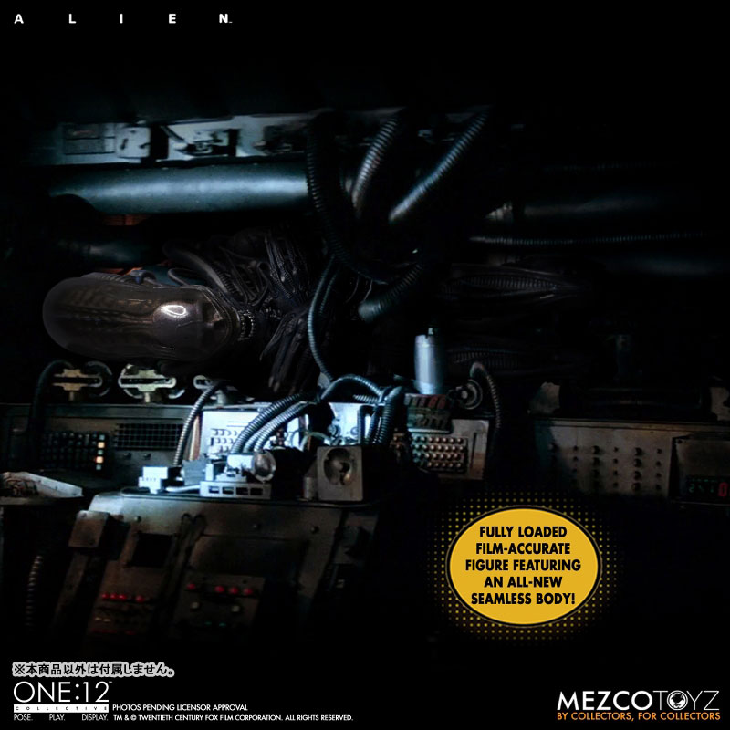 1/12 ���ϸ��� �� ü�� [2���԰��Ϸ�] [4580017833588]