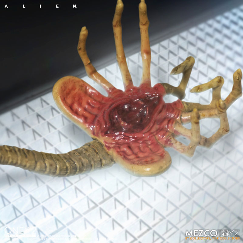 1/12 ���ϸ��� �� ü�� [2���԰��Ϸ�] [4580017833588]