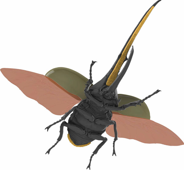 �������� �ø��� ������ - ���Ŭ���� ���ǳ���� [4���԰��Ϸ�] [4968728171210]