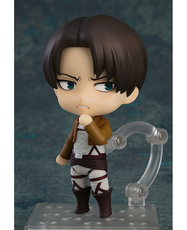 [�ٵ����̵� ���] ���Ƴ���� ���̽� ������ ����(1�ڽ�6����) [8���԰��Ϸ�] [4580590180192]