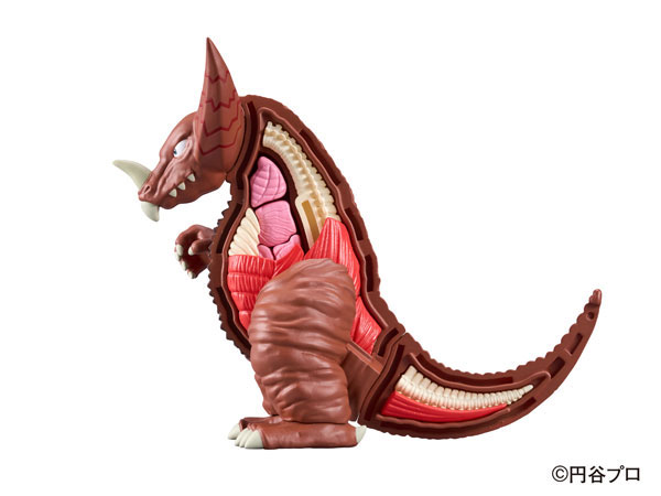 ��ü ���� ��Ÿ�� �����  [4975430517632]